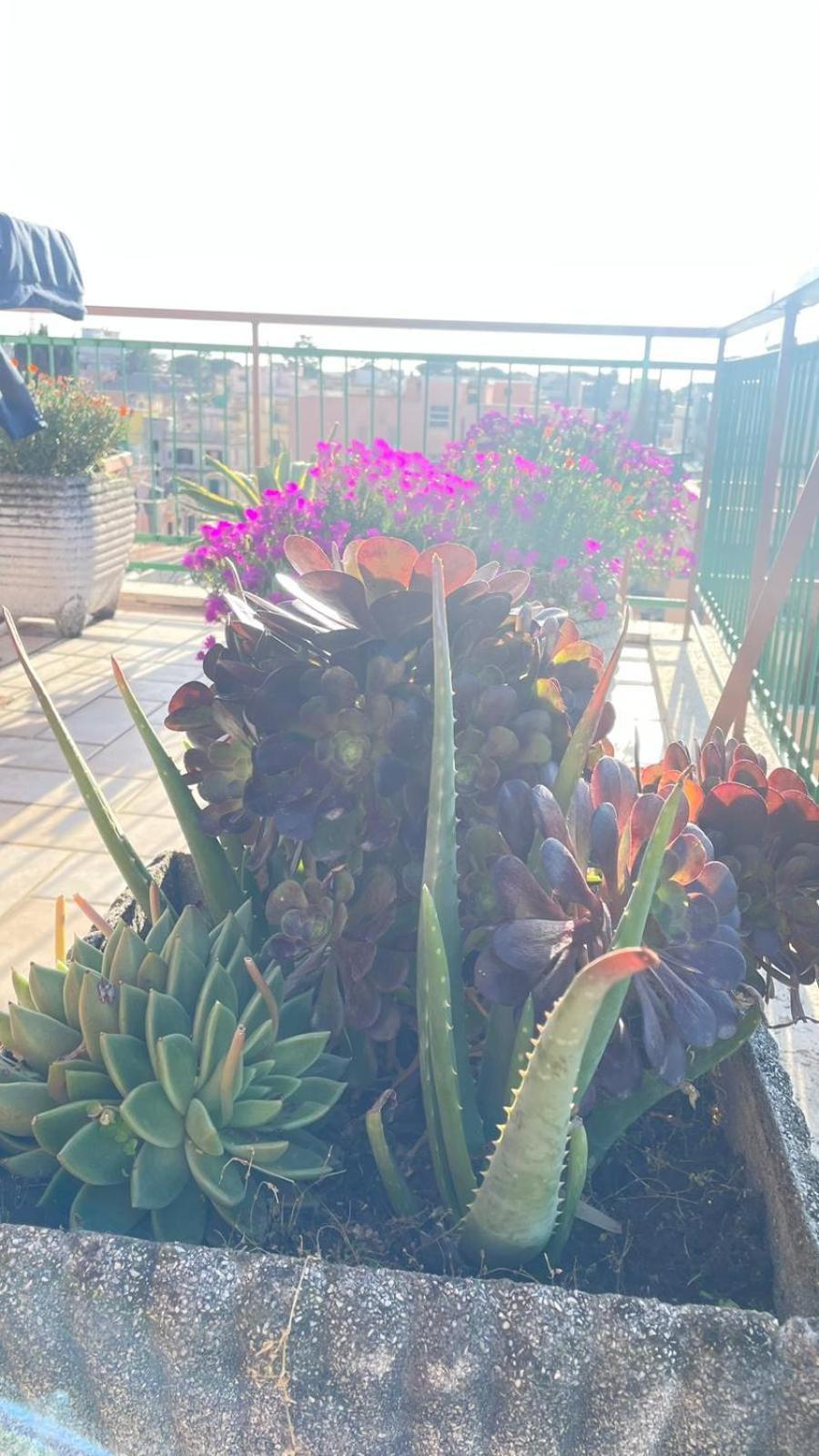 罗马Panoramic And Bright Penthouse Is Waiting For You公寓 外观 照片